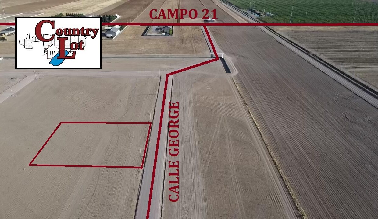 Imagen de WhatsApp 2024-04-19 a las 18.35.17_2ae94a97