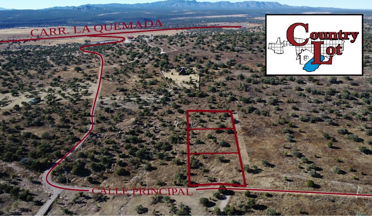 DCIM100MEDIADJI_0196.JPG