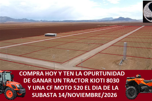 BODEGA 38 4 - copia